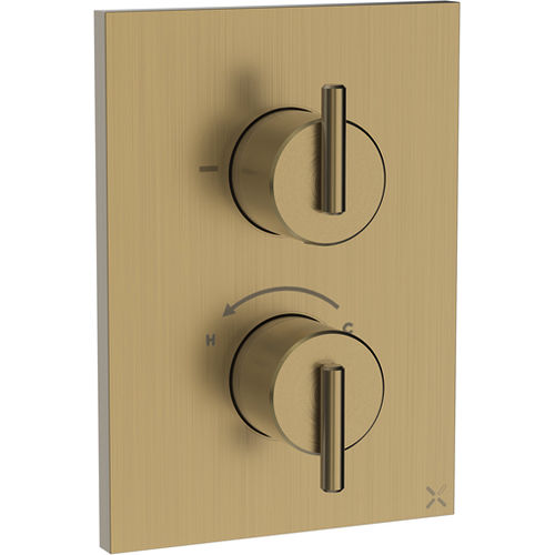 Crosswater 3ONE6 Crossbox 2 Outlet Shower Valve (Brushed Brass).