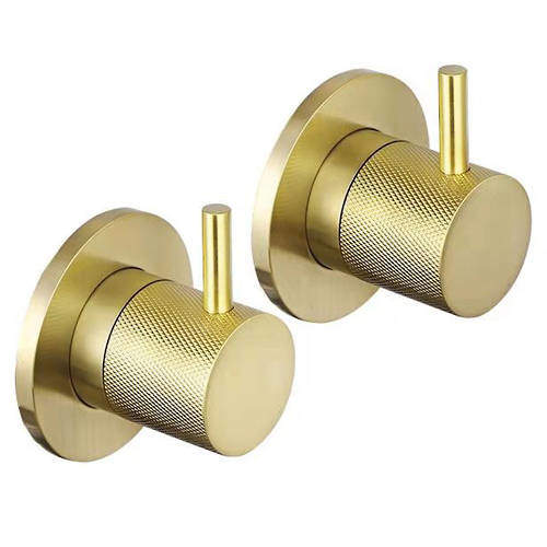 JTP Vos Wall Mounted Valves With Designer Handles (Brushed Brass).