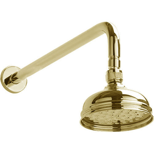 Sagittarius Showers Chelsea Shower Head With Arm (130mm, Gold).