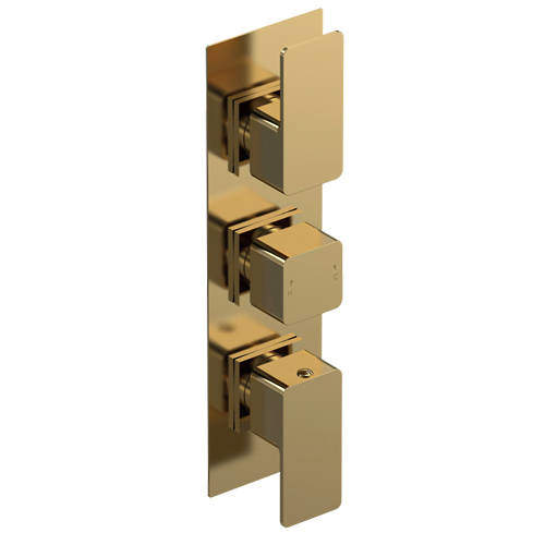 Nuie Windon Concealed Thermostatic Shower Valve (2 Outlets, Brushed Brass).