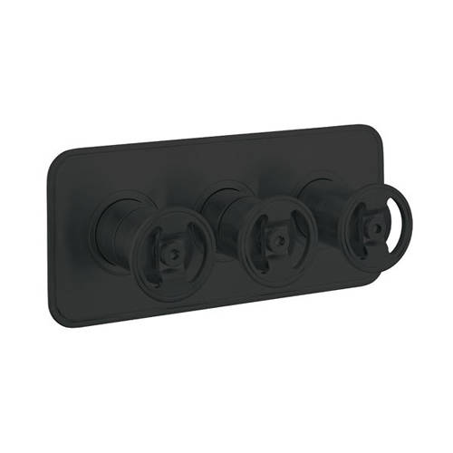 Additional image for Thermostatic Shower Valve (2 Outlets, Matt Black).