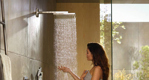 Additional image for Raindance E 300 1 Jet Shower Head & Wall Arm (300x300mm).