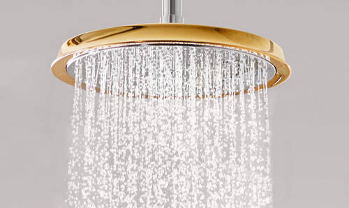 Additional image for Raindance Classic 240 Shower Head & Arm (Gold & Chrome).