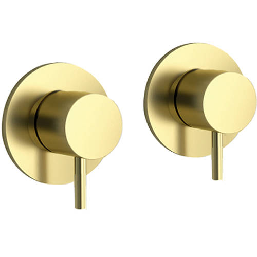 Additional image for Wall Mounted Valves (Brushed Brass).