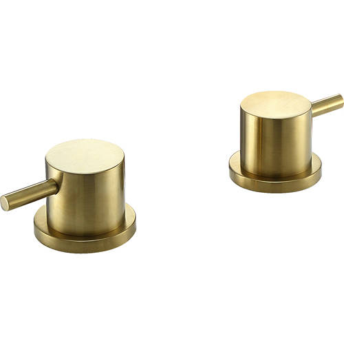 Additional image for Panel Valves (Brushed Brass).