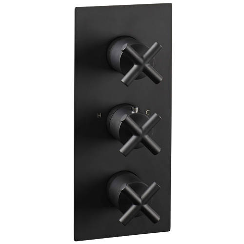 Additional image for Concealed Thermostatic Shower Valve (2 Outlet, Matt Black).