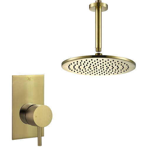 Additional image for Manual Shower Valve With Ceiling Arm & 250mm Head (Br Brass).