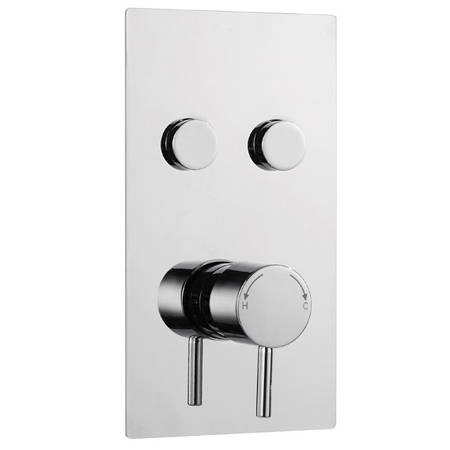 Additional image for Concealed Thermostatic Push Button Shower Valve (2 Outlets).