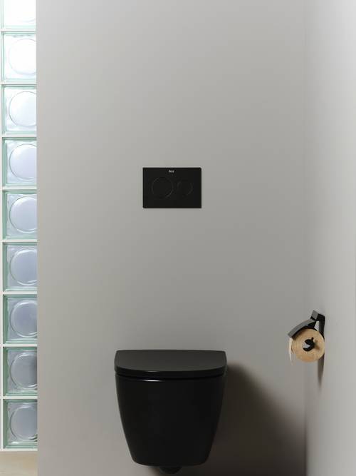 Additional image for PS3 (DUPLO S) - Dual Flush Plate (Titanium Black)