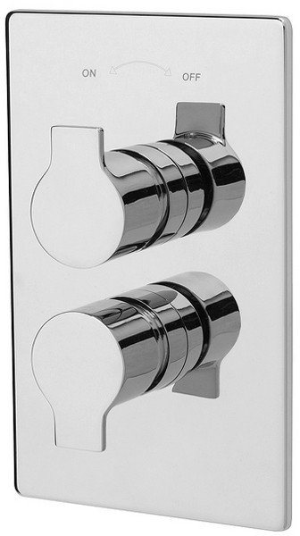 Additional image for Twin Thermostatic Shower Valve With Slide Rail & Head.