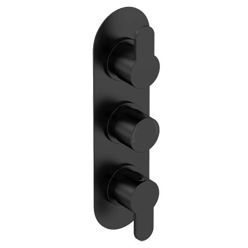 Additional image for Concealed Thermostatic Shower Valve (2 Outlets, Matt Black).