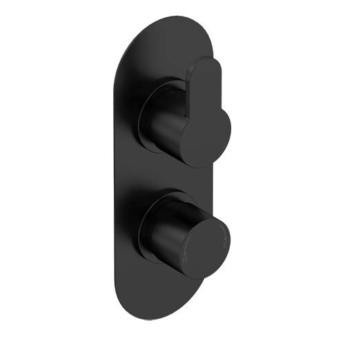 Additional image for Concealed Thermostatic Shower Valve (1 Outlet, Matt Black).