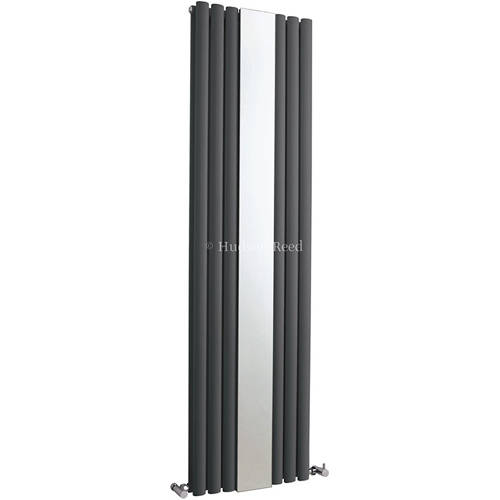 Additional image for Revive Mirror Radiator (Double Panel). 499x1800.