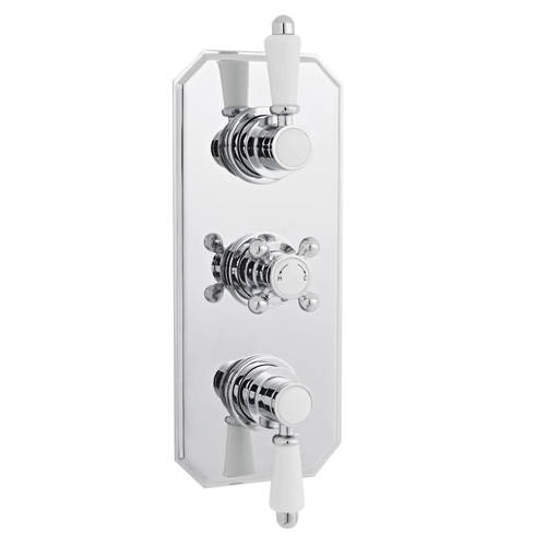 Additional image for Thermostatic Shower Valve With White Handles (2 Way).
