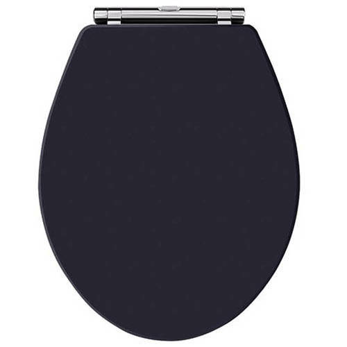 Additional image for Carlton Toilet Seat With Soft Close (Twilight Blue).