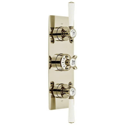 Additional image for Thermostatic Shower Valve With Slide Rail Kit & Fixed Head (Bright Nickel).