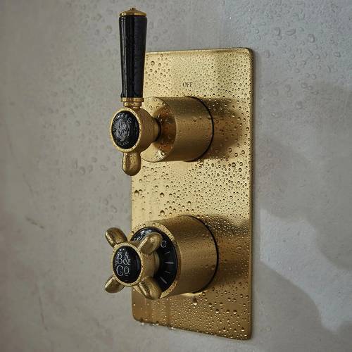 Additional image for Thermostatic Shower Valve With 1 Outlet (Brushed Brass).