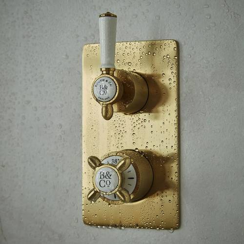 Additional image for Thermostatic Shower Valve With 2 Outlets (Brushed Brass).