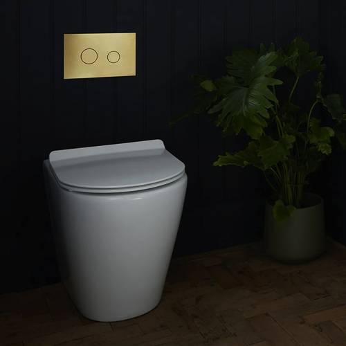Additional image for Flush Plate With Round Buttons (Brushed Gold).