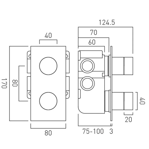 Additional image for Thermostatic Shower Valve With 2 Outlets (Polished Black).