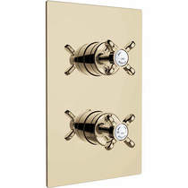 Bristan 1901 Concealed Shower Valve With Dual Controls (1 Outlet, Gold).