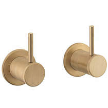 Crosswater Industrial Wall Stop Valves (Unlac Brushed Brass).