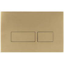Crosswater MPRO Flush Plate With Dual Buttons (Brushed Brass).