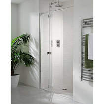 Lakes Island Martinique Frameless Hinged Shower Door & Panel (1600x2000).